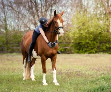 25% Off Thornhill Breakaway Halters